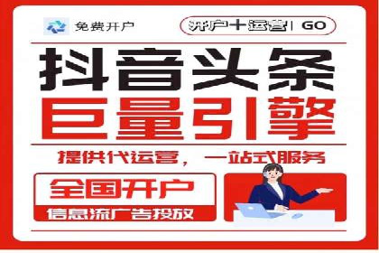 某某SEM团队成功案例：广告投放策略揭秘